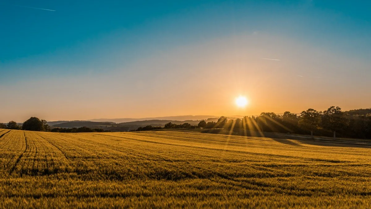 Tierras de cultivo y paisaje rural