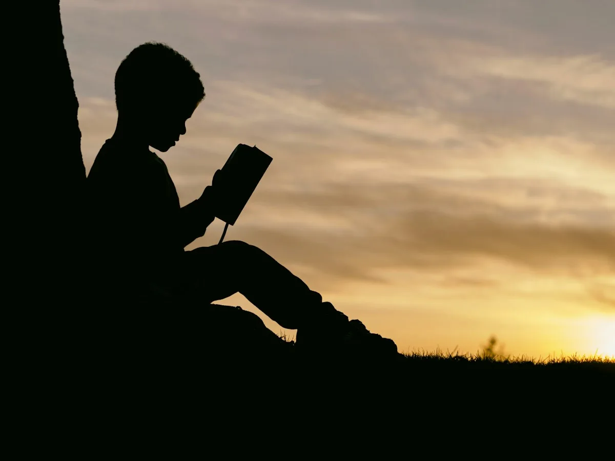 Libros y espacio de lectura, imagen ilustrativa