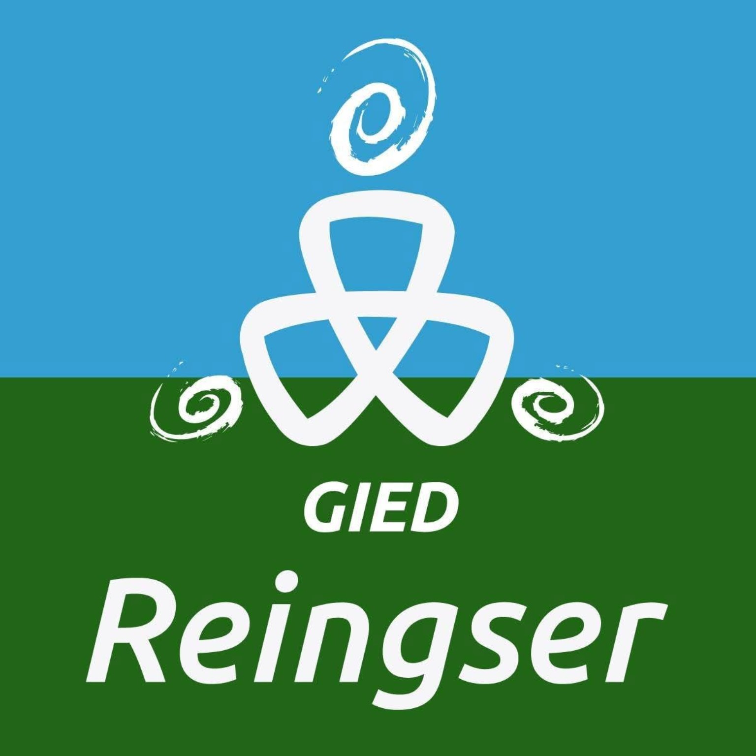Logotipo oficial GIED Reingser